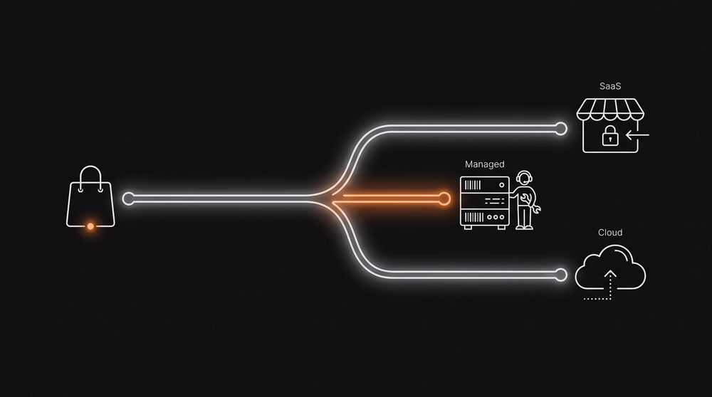 Left-to-right decision path branching into three hosting options: a SaaS platform box, a managed server with caretaker, and a bare cloud